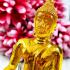 Home Decor Seated Buddha Statue Figurine Peaceful Magic Amber Thai Amulet #5408
