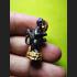 Casino Gambling Win Monkey SihuHata 4era 5Eye Subin Black Gold Thai Amulet #6116