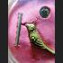 SALIKA PAIR BIRDS CHARMING LOVE NEGOTIATE CONTROL MIND THAI AMULET LP NEN 2TAKUD BE2554 PINK