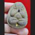 THAI AMULET PIDTA CLOSED EYE 1 GOLDEN TAKUD LP KOON WATBANRAI PREVENT DEITY