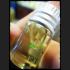 NAMANPLAI OIL CHARMING LOVE ATTRACT GAMBLING RICH LUCK THAI AMULET LP KERN BE2555
