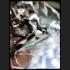 HANUMAN MINIATURE ARMED MONKEY 8HAND VICTORY RID ENEMY RICH MONEY THAI AMULET LP KEY BE2554 ALLOY
