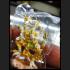 HANUMAN MINIATURE ARMED MONKEY 8HAND VICTORY RID ENEMY RICH MONEY THAI AMULET LP KEY BE2554 COLORED 24K PLATED