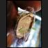 HANUMAN MINIATURE ARMED MONKEY 8HAND VICTORY RID ENEMY RICH MONEY THAI AMULET LP KEY BE2554 COLORED 24K PLATED
