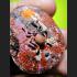 Pidta Spider Fast Rich Money Takrut Koon Banrai Magic Close Eye Thai Amulet 6871