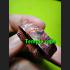 Pidta Spider Fast Rich Money Takrut Koon Banrai Magic Close Eye Thai Amulet 6871