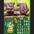 Pidta Spider Fast Rich Money Takrut Koon Banrai Magic Close Eye Thai Amulet 6871