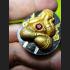 Pidta Spider Closed Eye Koon Banrai Magic Lucky Money Fortune Thai Amulet #6872