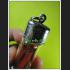 NAMMANPLAI OIL RED THAI AMULET AJHAN PERM PLAIDAM >>>NEW@2020<<< 7679