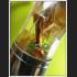 NAMMANPLAI CHARMING OIL THAI AMULET AJHAN PERM PLAIDAM >>>NEW@2020<<< 7681