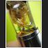 NAMMANPLAI CHARMING OIL THAI AMULET AJHAN PERM PLAIDAM >>>NEW@2020<<< 7681
