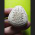 PIDTA JUMBO SEDTI YAI CLOSED EYE BUDDHA THAI AMULET LP KAMBU WAT KUDCHOMPU BE2554 WHITE 7750
