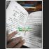 TEXT MANUAL HOLY VEDAS BOOK OF 108 ANCIENT SYMBOL ALPHABET YHAN MAGIC TATTOO 7772