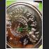 MEDAL RICHLY FOUR 4FACE METTA PHOM JAKPHET THAI AMULET PASUIT BE2555 COPPER 7781