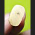 MINIATURE LADY BECKON CATCH MORE CUSTOMER TRADING THAI AMULET LP KEY 18K GOLD 7896