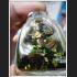 EPER LADY NAKED NUDE SPIRIT WHISPER TELL WINDFALL CHARMING LOVE THAI AMULET KUBA INPLANG BE2551 7952