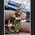 PHA-KRING BELL BUDDHA MINIATURE LUCKY MILLIONIR FORTUNE THAI AMULET LP SWAI BE2553 7978