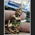 PHA-KRING BELL BUDDHA MINIATURE LUCKY MILLIONIR FORTUNE THAI AMULET LP SWAI BE2553