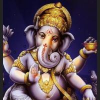 PiKaNet Elephant Head ( Ganesha God of Success) !!