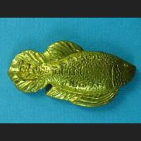 FISH Talisman !!
