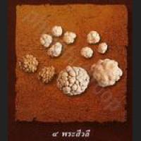 RELIC of Buddha SaLiRa (PHA-TAD)++