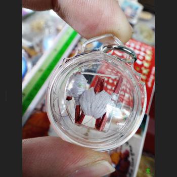 HUNPAYON PREVENT GUARDIAN RICH WEALTH THAI AMULET PORPAN LP YEN WHITE ROBE