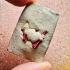 Somdej Porpan Hunpayon Guardian Rich Wealth Lp Yen White Red Thai Amulet #15209