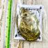 Lokok Kitty Gambling Casino Win Money Rich Oil Wealth Tawee Thai Amulet #15223