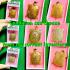 Certificate Samakom Turtle Sukjai Sankajai Buddha Liew Be2537 Thai Amulet #15360