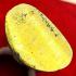 Miniature Lp Ngern Watbangkan Be2555 Protection Wealth Money Thai Amulet #15362