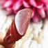 Ancient Crave Leklai Naga Eye Gem stone Lersri Dragon Head Red Thai Amulet 15422