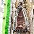 Ancient Crave Leklai Naga Eye Gem stone Lersri Dragon Head Red Thai Amulet 15422