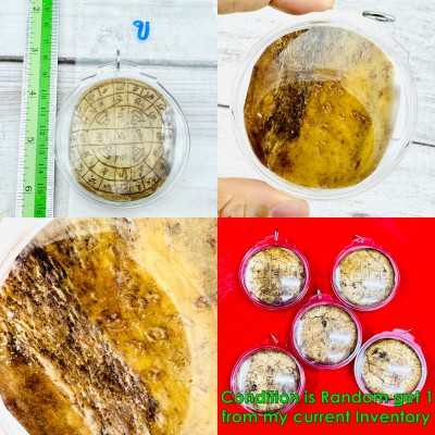 Panneng Origin Skull Whisper Goddess Lucky Tell Fortune Tawee Thai Amulet #15457