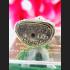 RICH GAMBLING MONEY BOY SPIRIT MINIATURE GUMAN SUBIN AMULET WHITE BE2557