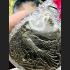 Holy Fowl Chicken Wealth Money Business Rich Powerful Lp Deng Thai Amulet #15557