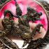 Bronze Lion Wheel Kotchasei Leader Control Lp Kalong Be2552 Thai Amulet #15577