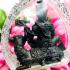 Narai Shiva Ride Cow Catch Rich Money Wealth Lp Kalong Be2552 Thai Amulet #15578