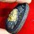 Jumbo Wasp Pidta Close Eye Windfall Forever Rich Money Lp Jeed Thai Amulet 15690