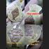 Hermit Master Lersri Tafai 3 Eye Lucky Successful Lp Nen White Thai Amulet 15722