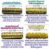 Bracelet 4in1 Takrut Change Fortune Magic Arjarn O Ajarn Ole Thai Amulet #15728