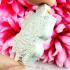 Lucky Turtle Sankajai Money Wealth Happy Buddha Liew Be2539 Thai Amulet #15768