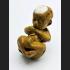 Lokok Ashes Baby Eat Fetus Spirit Guman Goy Gambling Wish Rich Thai Amulet 15786