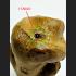 Lokok Ashes Baby Eat Fetus Spirit Guman Goy Gambling Wish Rich Thai Amulet 15786