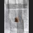 Lokok Ashes Baby Eat Fetus Spirit Guman Goy Gambling Wish Rich Thai Amulet 15786