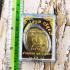 OLD HOLY RICHLY MEDAL MONEY LIFE PROTECTION SAFTY THAI AMULET LP KOON 2537