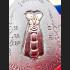 Jumbo Close Eye Pidta NgernLan Millionaire Lp Jeed 28T Be2555 Thai Amulet #15815 WASP CATCH FAST RICHLY LUCKY GAMBLING TAKUD