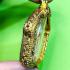 Empty Metal Stencil Frame Case Gold Micron 24k Khunpaen 4.5cm Thai Amulet #16035