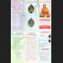 Certificate Lucky Fortune Great Successful Koon Be2537 DeeYiem Thai Amulet 16049 +CARD OF AUTHENTIC DDPRA