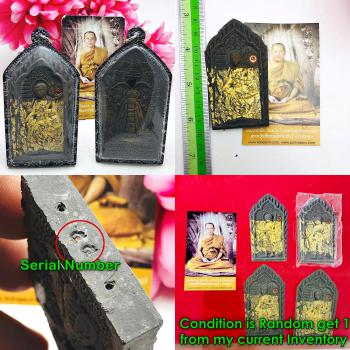 Jumbo Sivali Wasp Gain Profit Investment Win Money Jeed Be2552 Thai Amulet 16084