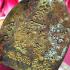 Jaosua Millionaire Jeed Be2556 Green Chanuan Remove Debt Money Thai Amulet 16135